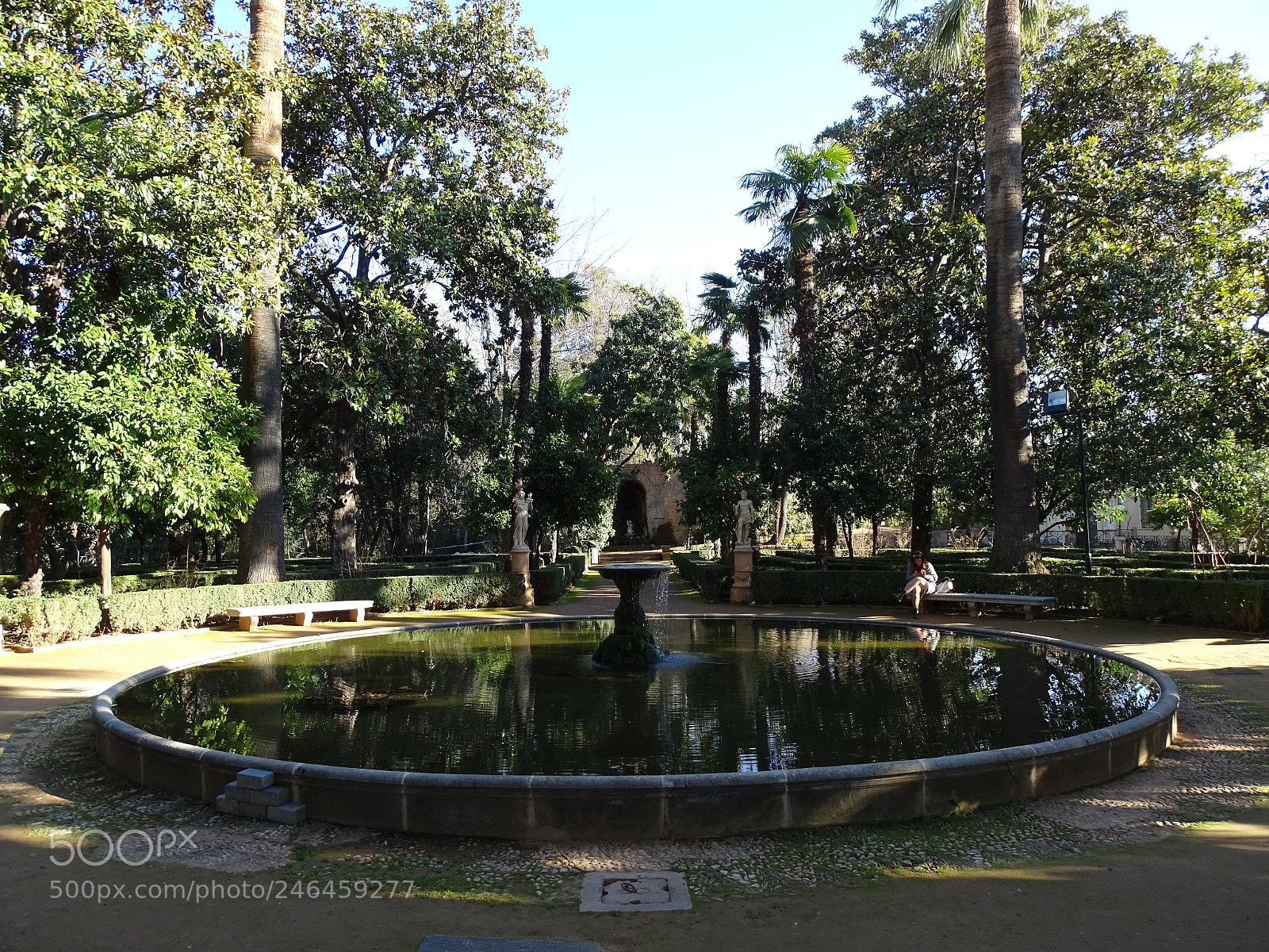 Sony Cyber-shot DSC-HX350 sample photo. Carmen de los m photography