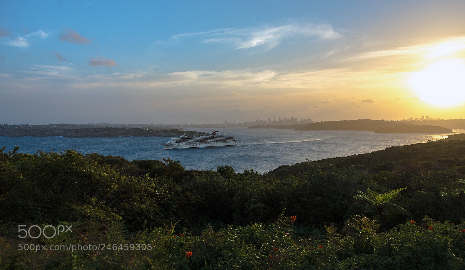 Nikon D610 sample photo. Evening departure photography