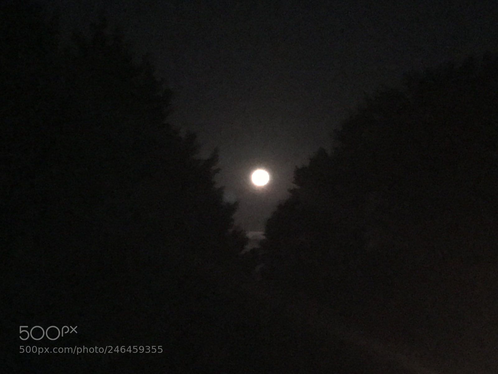 Apple iPhone 6s sample photo. La luna photography