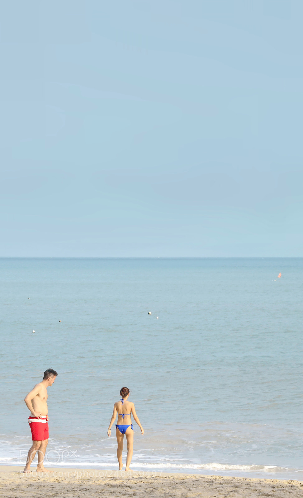 Canon EOS 5DS R sample photo. The visitor in seaside 4# photography