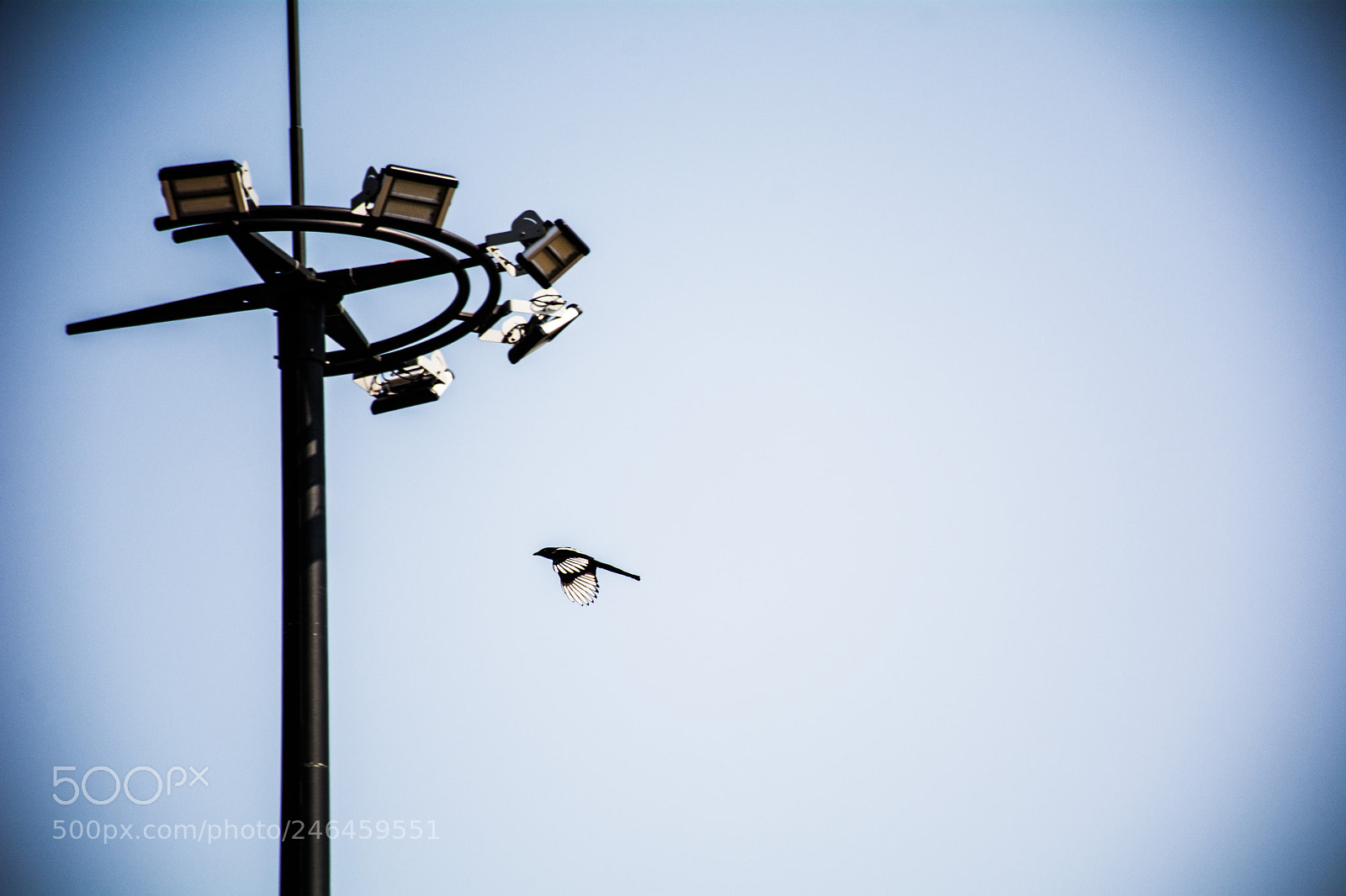 Nikon D7100 sample photo. Untitled photography