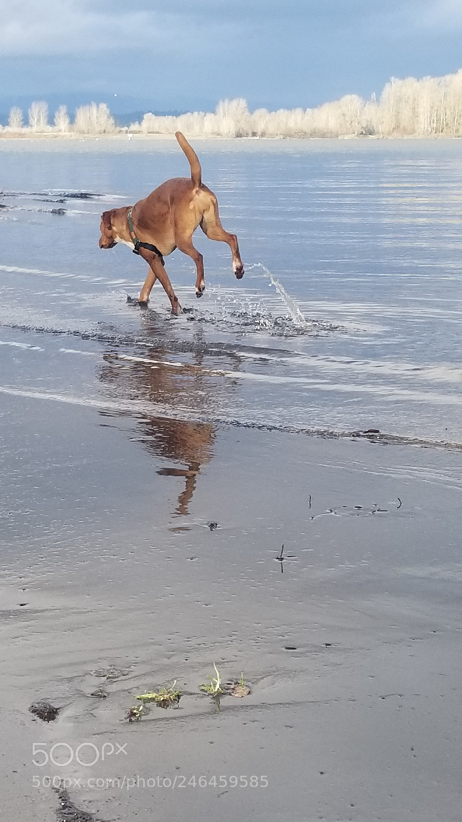 Samsung Galaxy S8 sample photo. Untitled photography