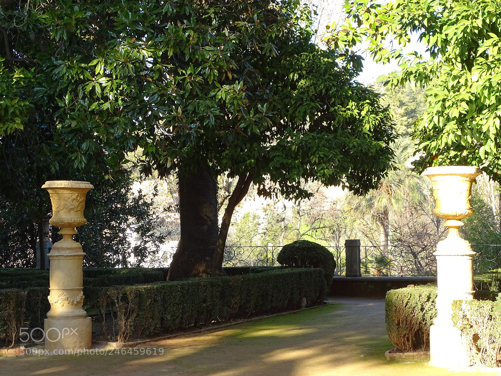 Sony Cyber-shot DSC-HX350 sample photo. Carmen de los m photography