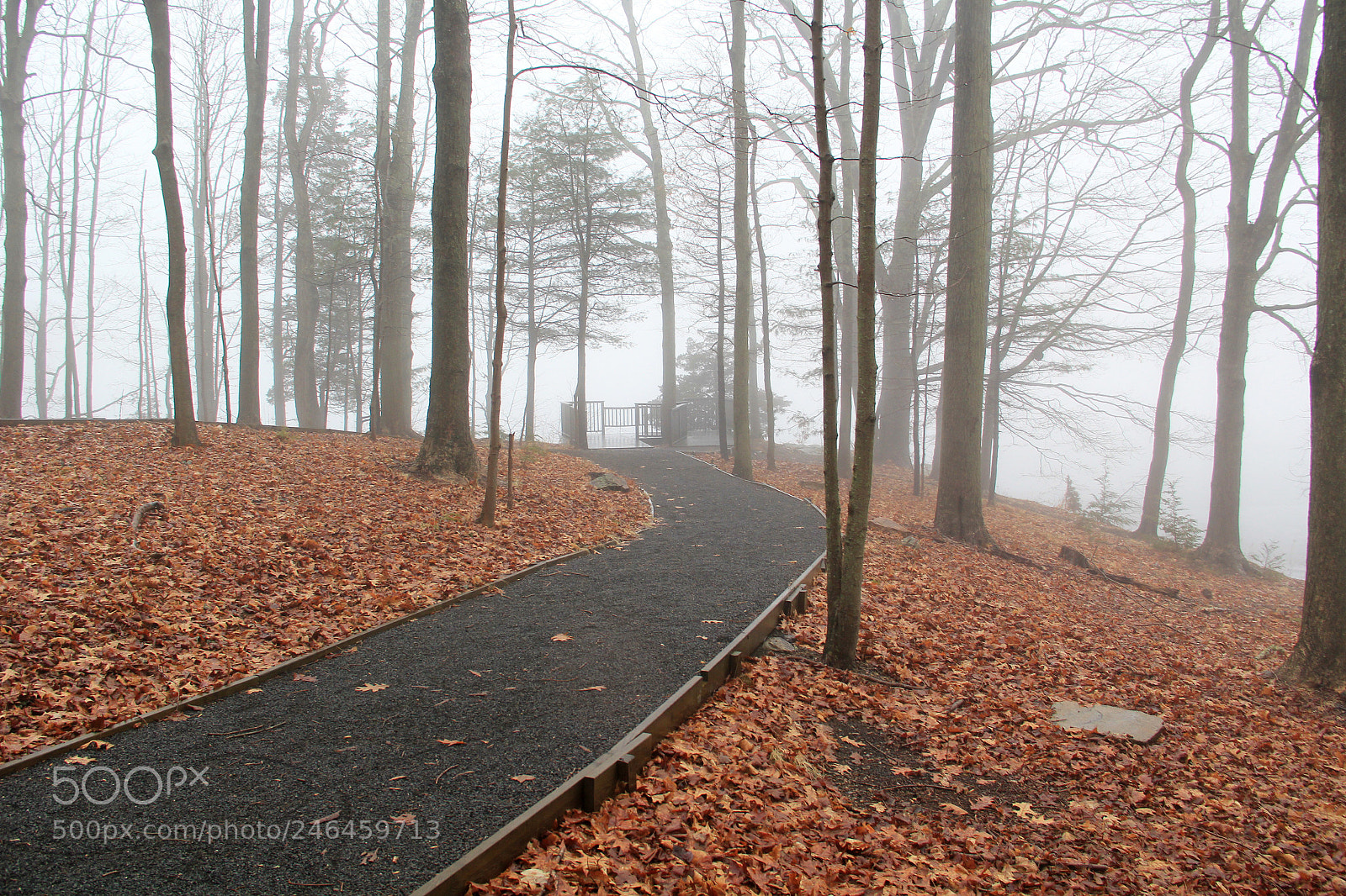 Canon EF-S 18-135mm F3.5-5.6 IS sample photo. Foggy morning photography