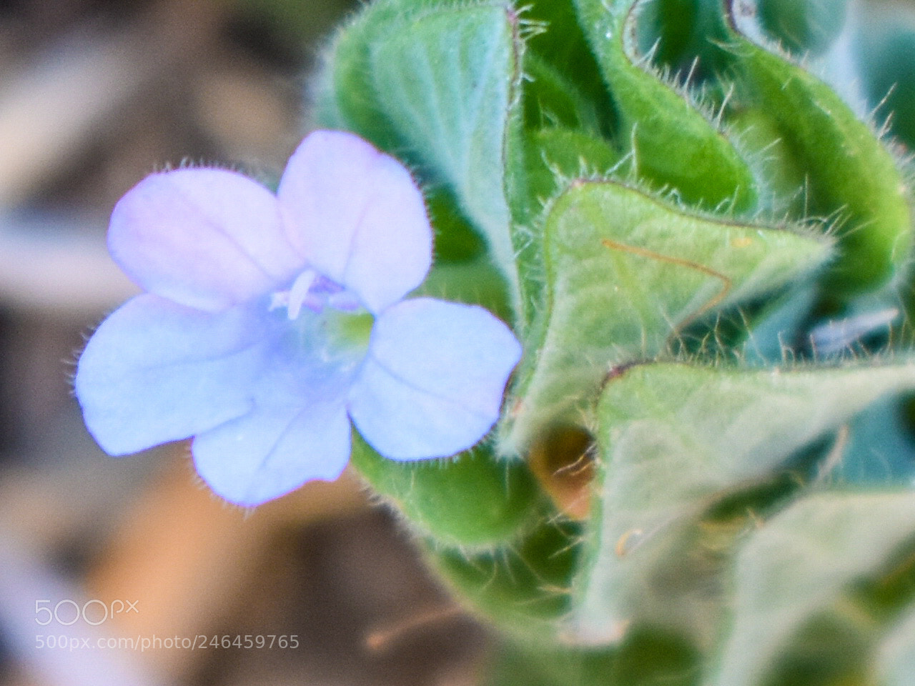 Nikon D3400 sample photo. Untitled photography