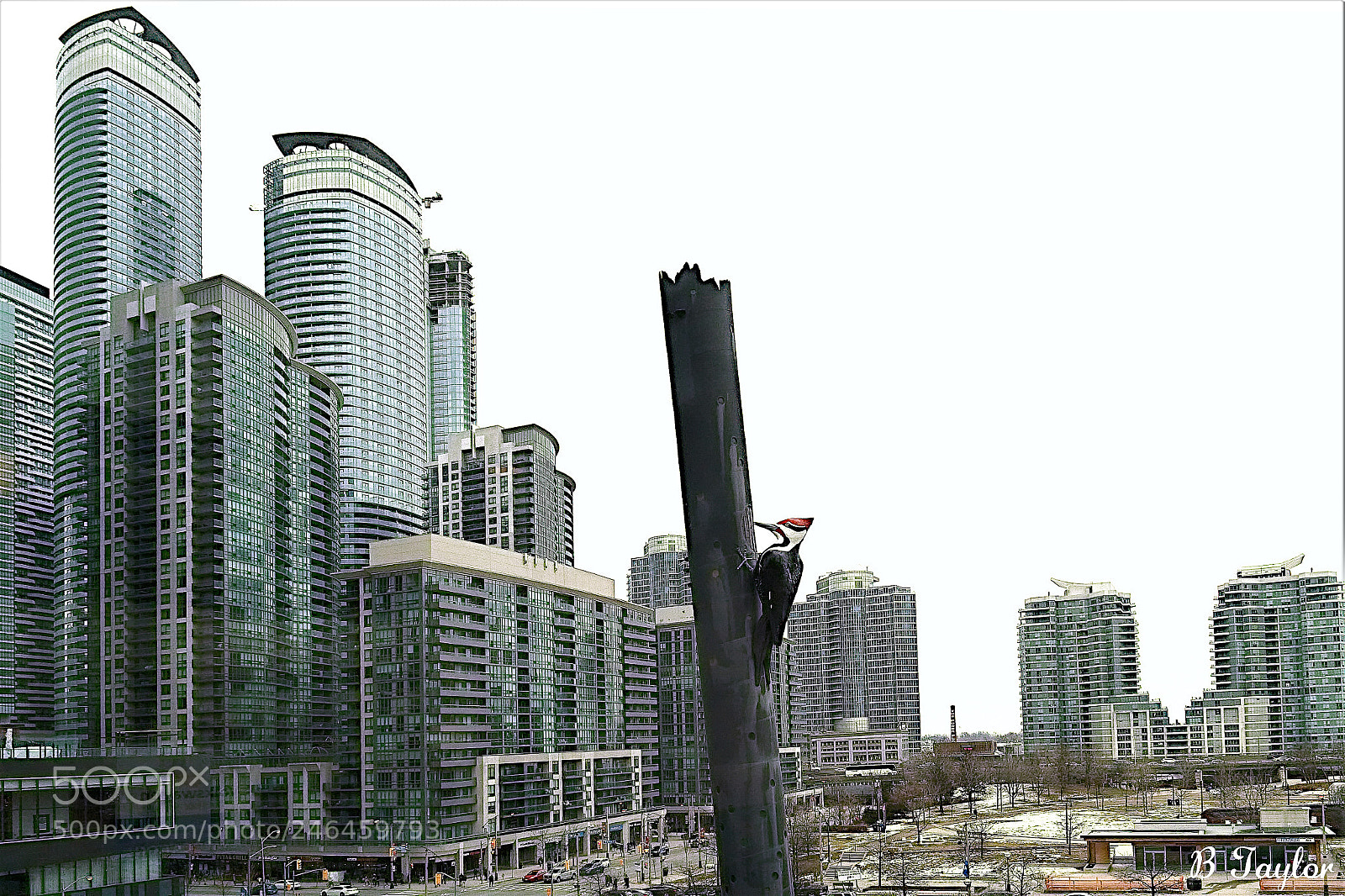 Sony SLT-A57 sample photo. Toronto lower simcoe towers photography