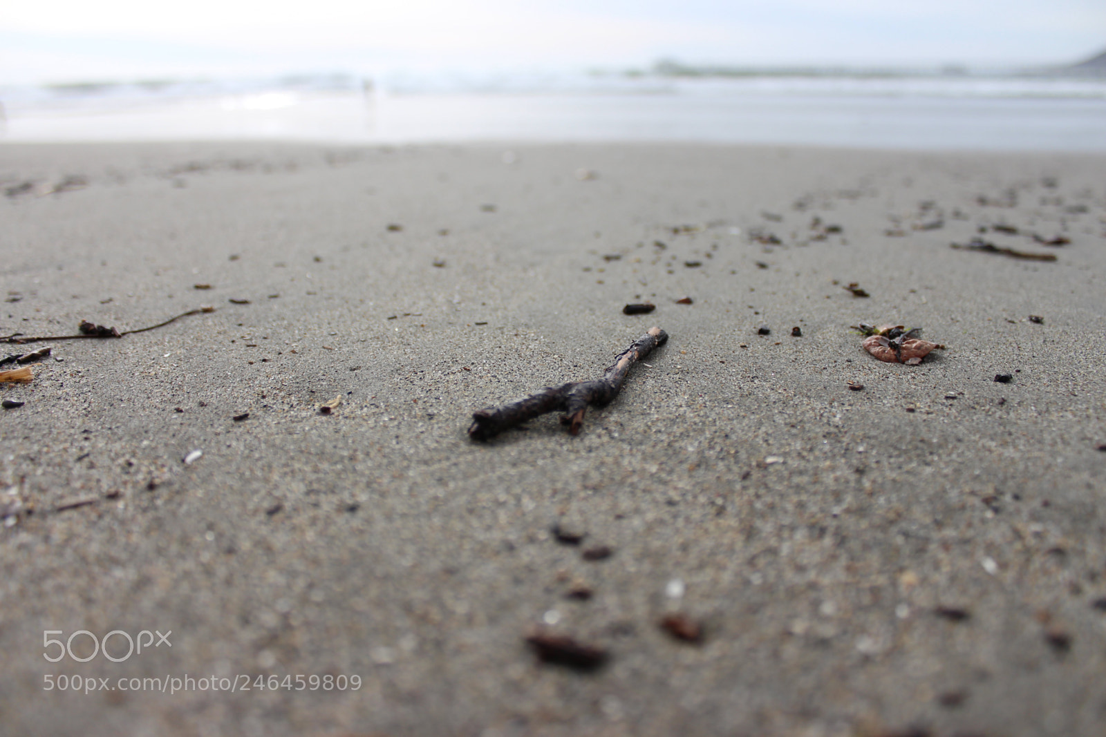 Canon EOS 700D (EOS Rebel T5i / EOS Kiss X7i) sample photo. The stick photography