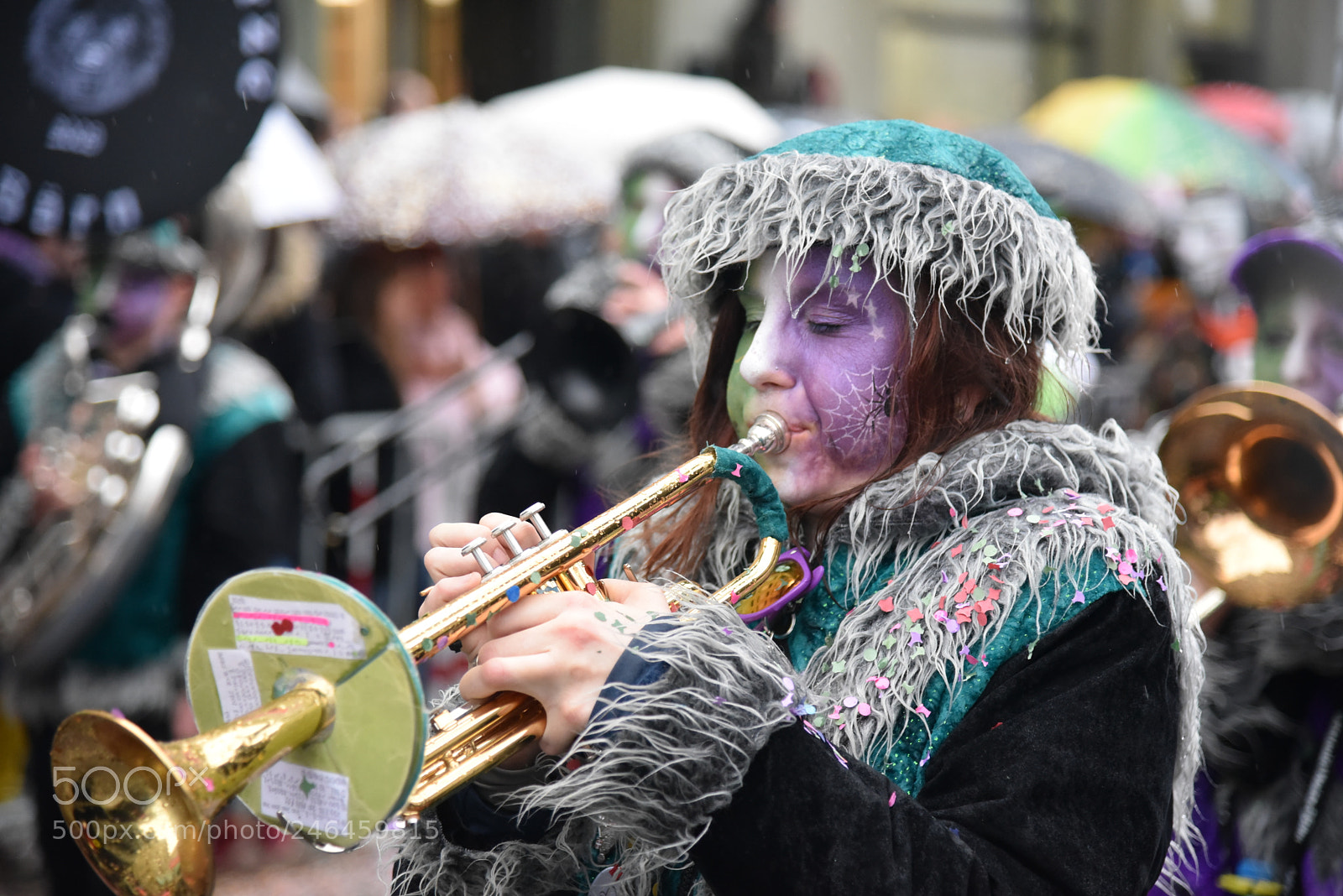 Nikon AF-S Nikkor 24-120mm F4G ED VR sample photo. Colorful carnival in bern photography