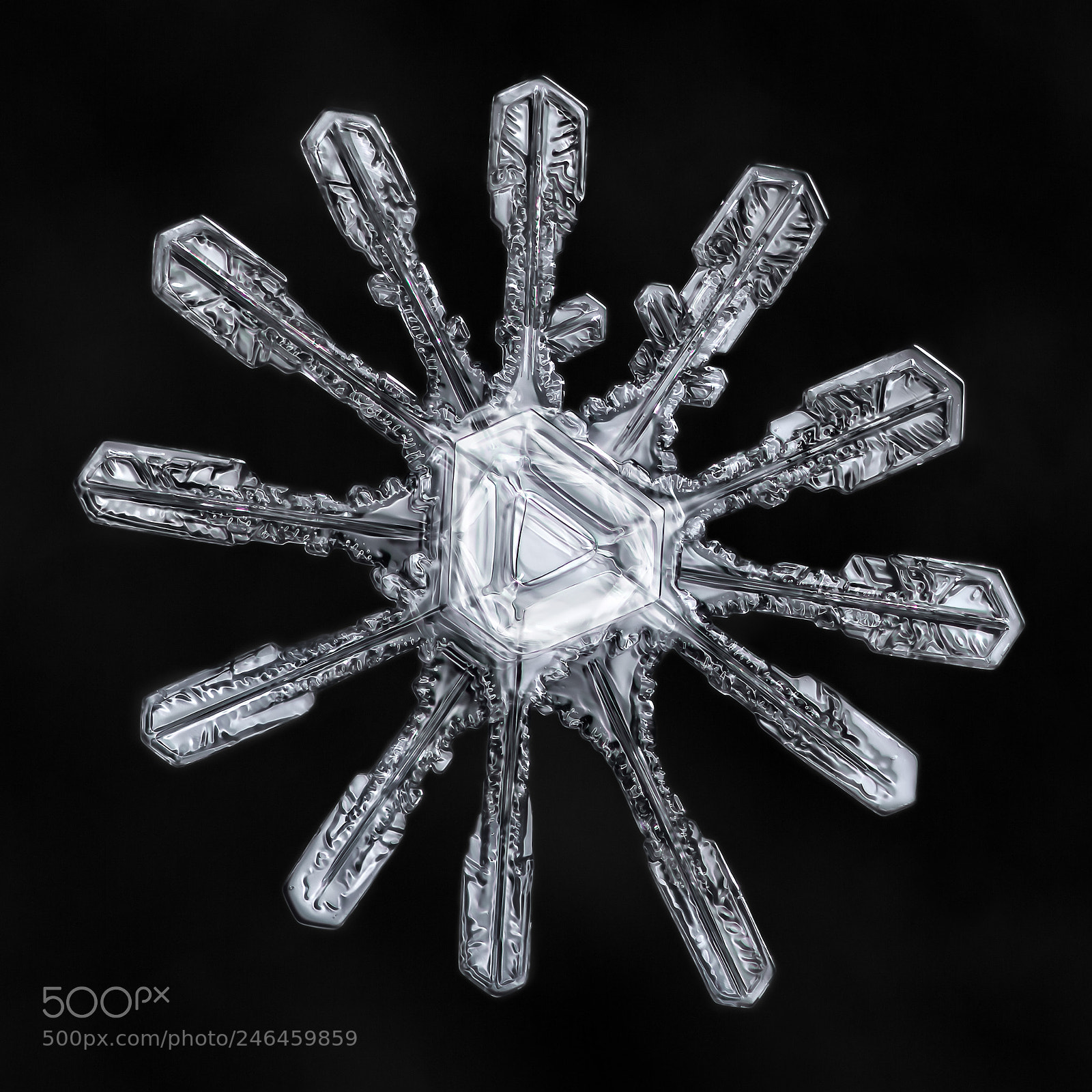 Canon EOS-1D X Mark II sample photo. Snowflake-a-day no. 52 photography