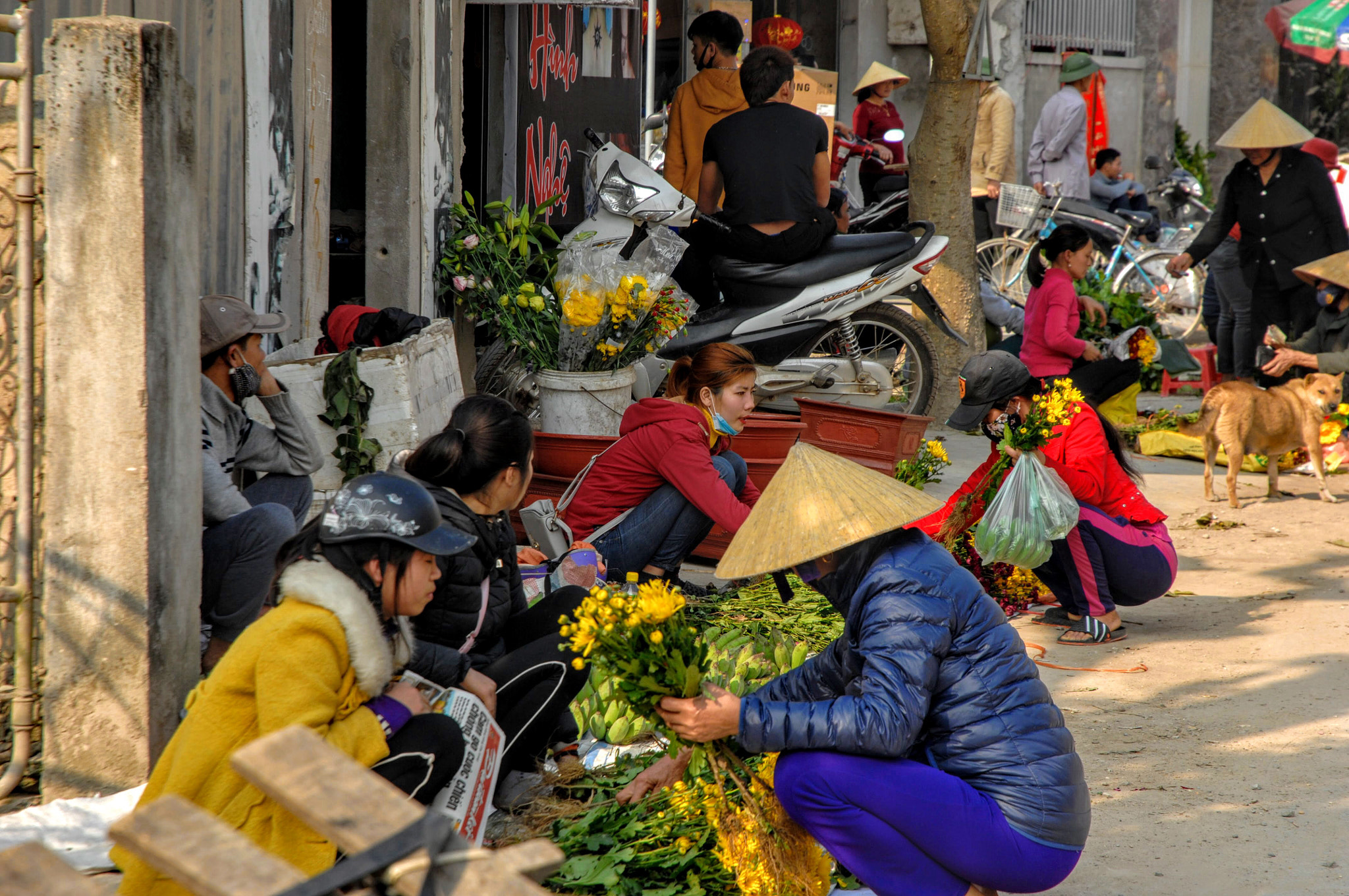 Nikon D2Xs sample photo. Vietnam photography