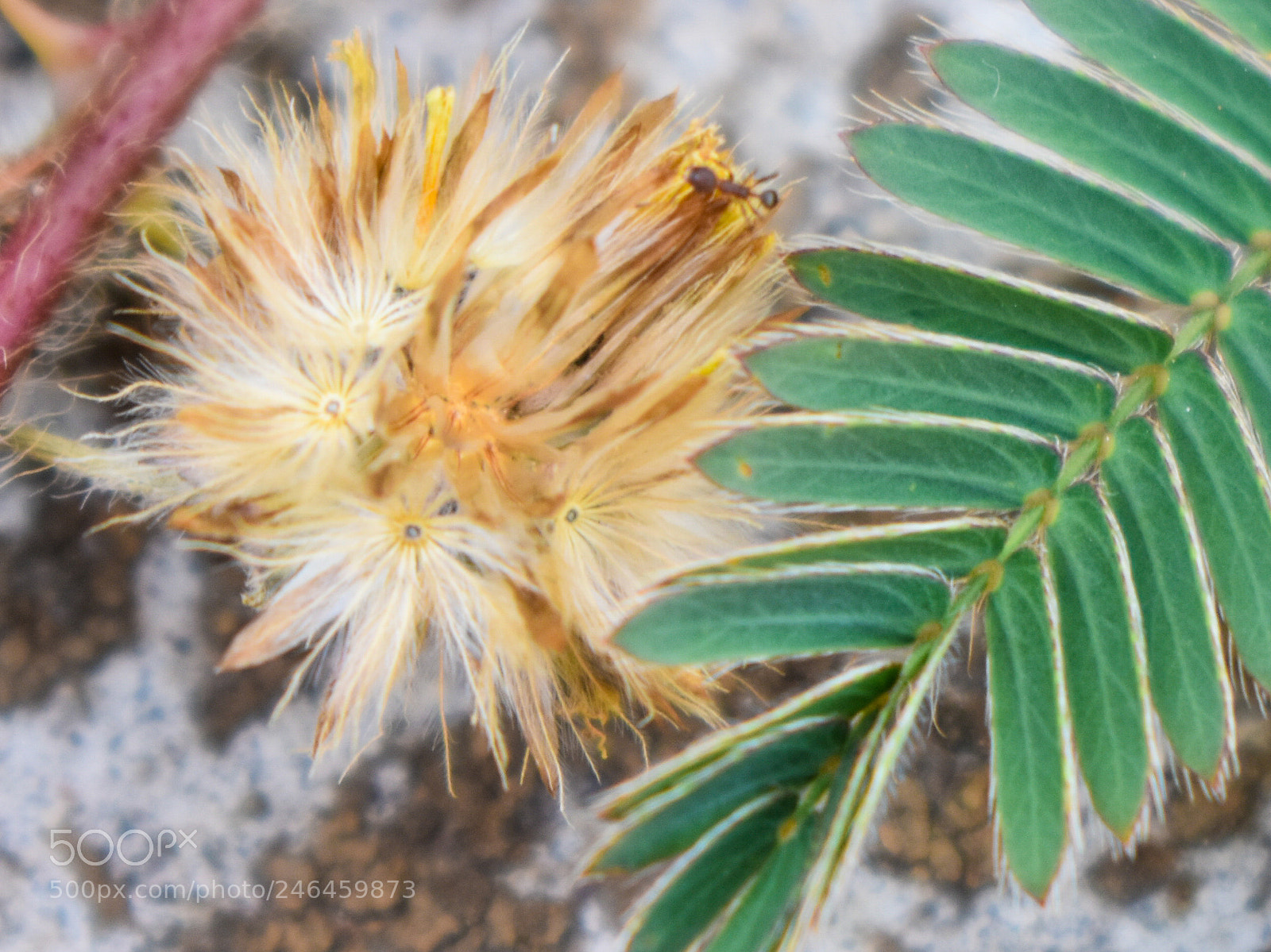 Nikon D3400 sample photo. Untitled photography