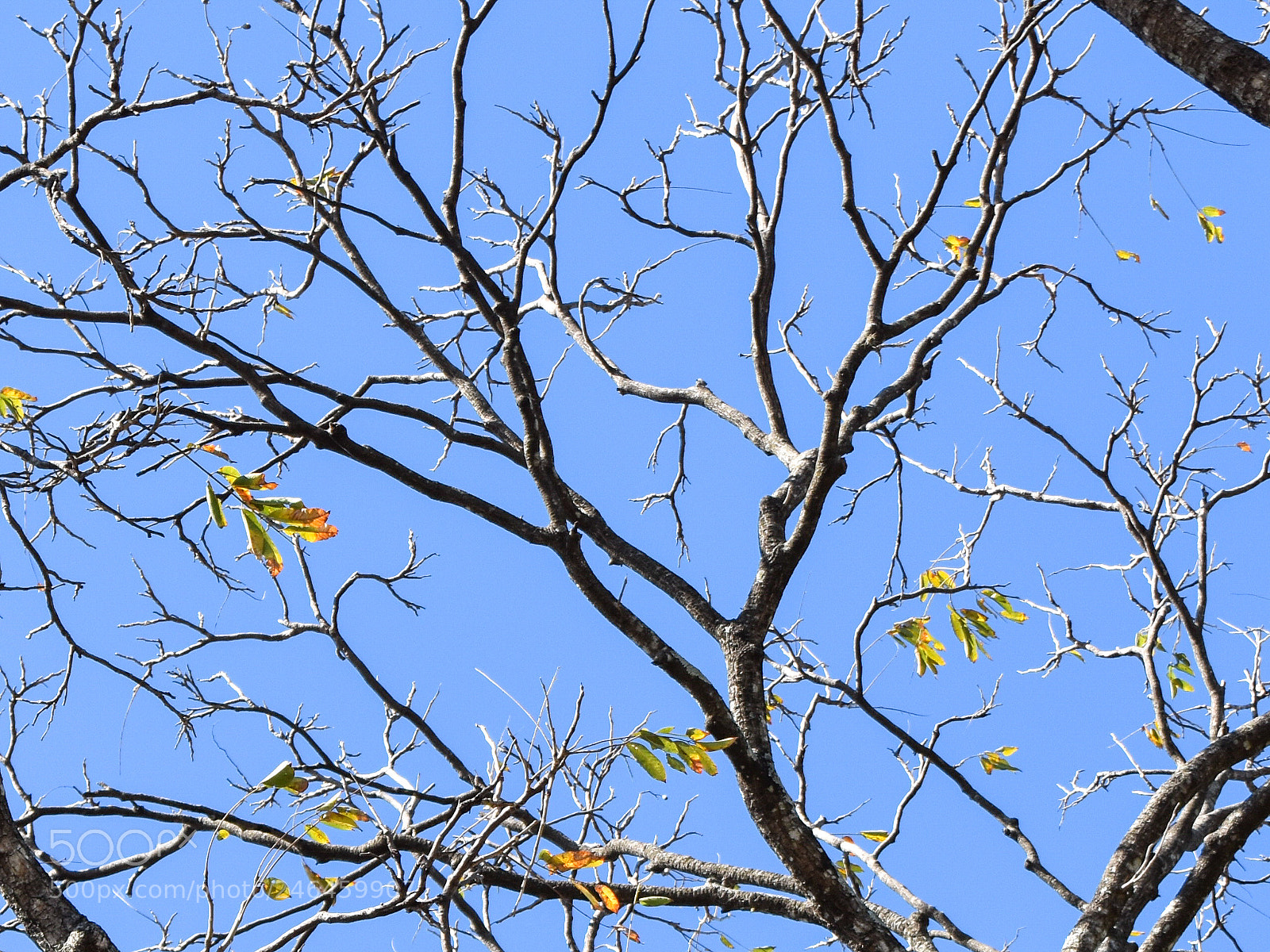 Nikon D3400 sample photo. Untitled photography