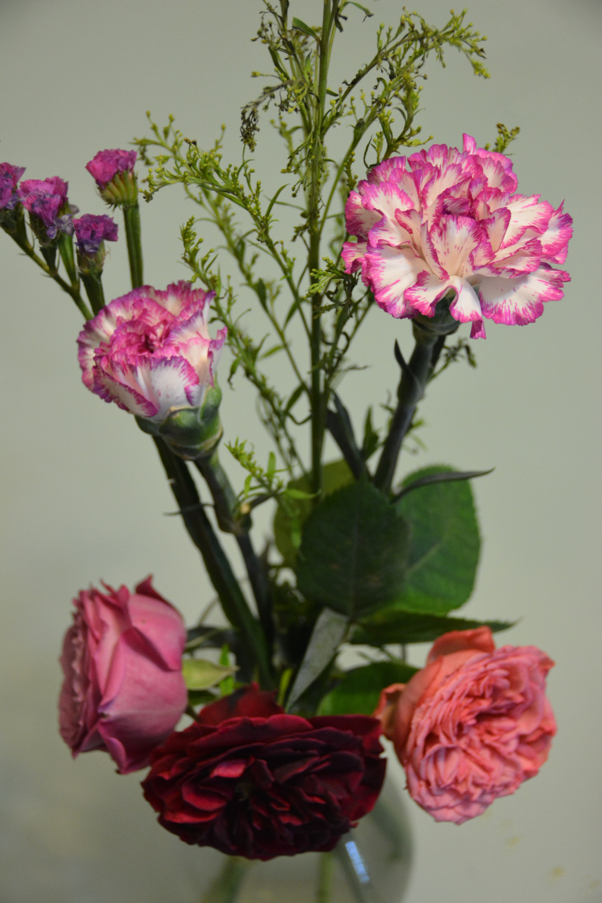 Nikon D7100 sample photo