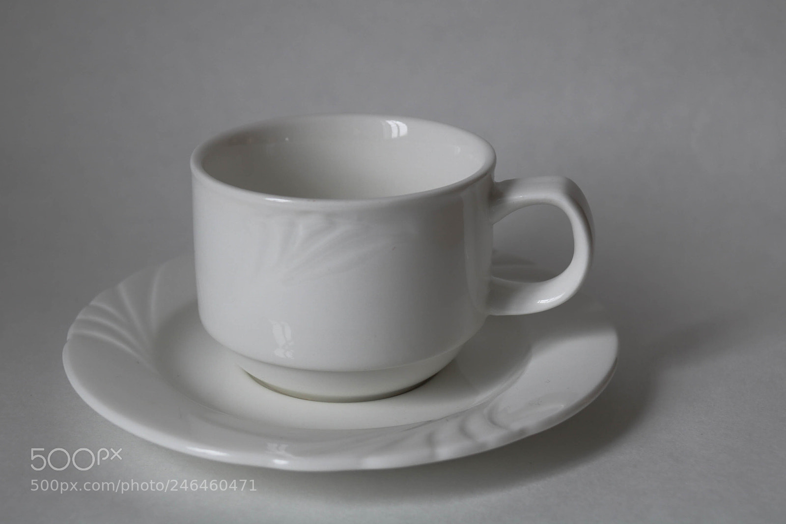 Canon EOS 760D (EOS Rebel T6s / EOS 8000D) sample photo. High key photography