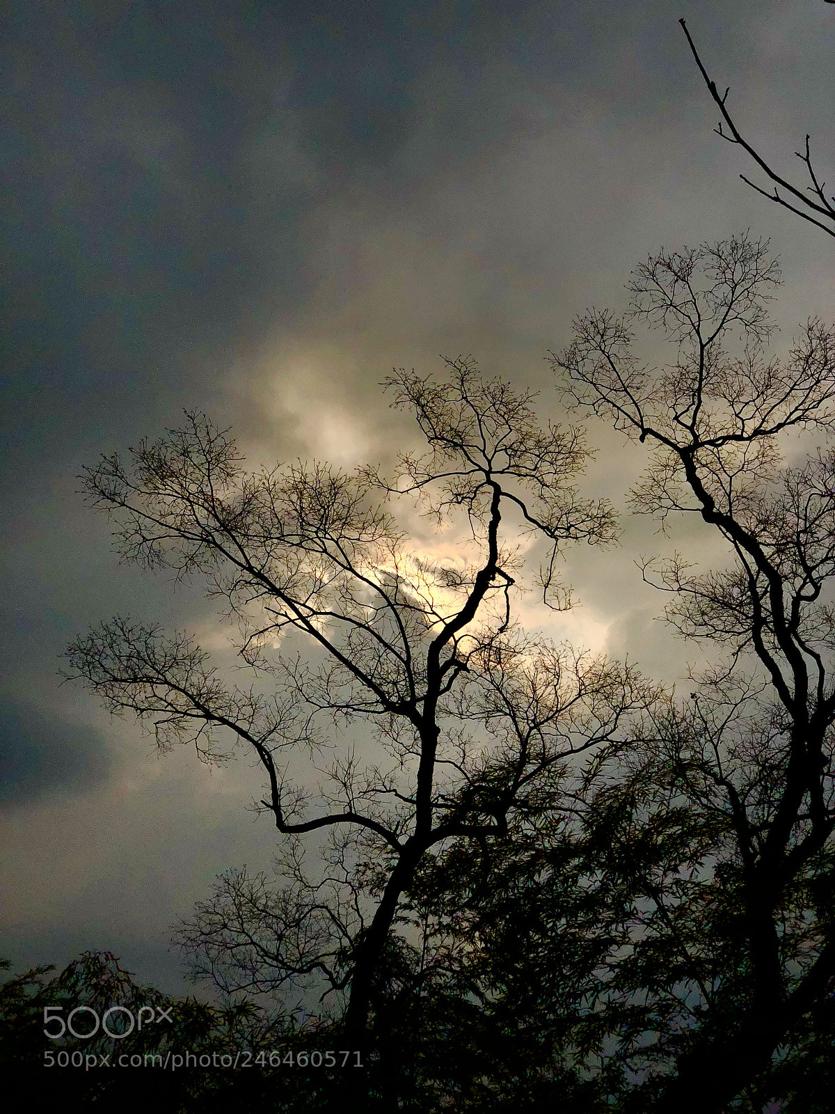 Apple iPhone X sample photo. 婺源，中国 photography