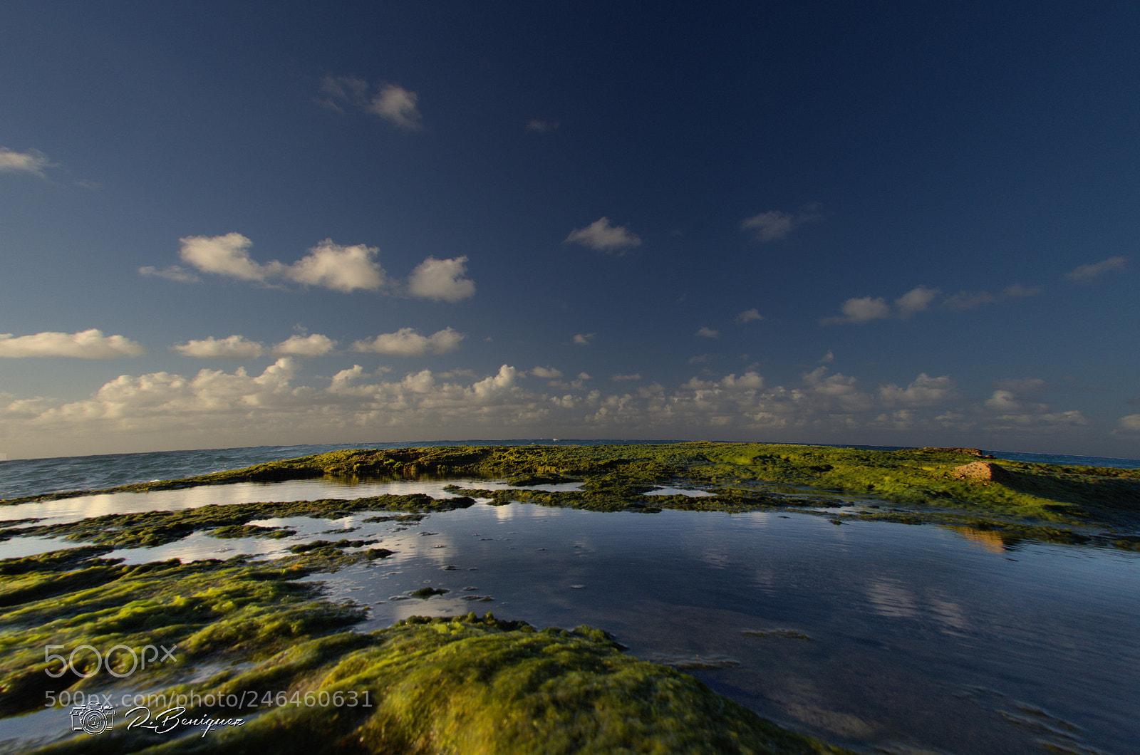 Nikon D5100 sample photo. Hatillo, puerto rico photography