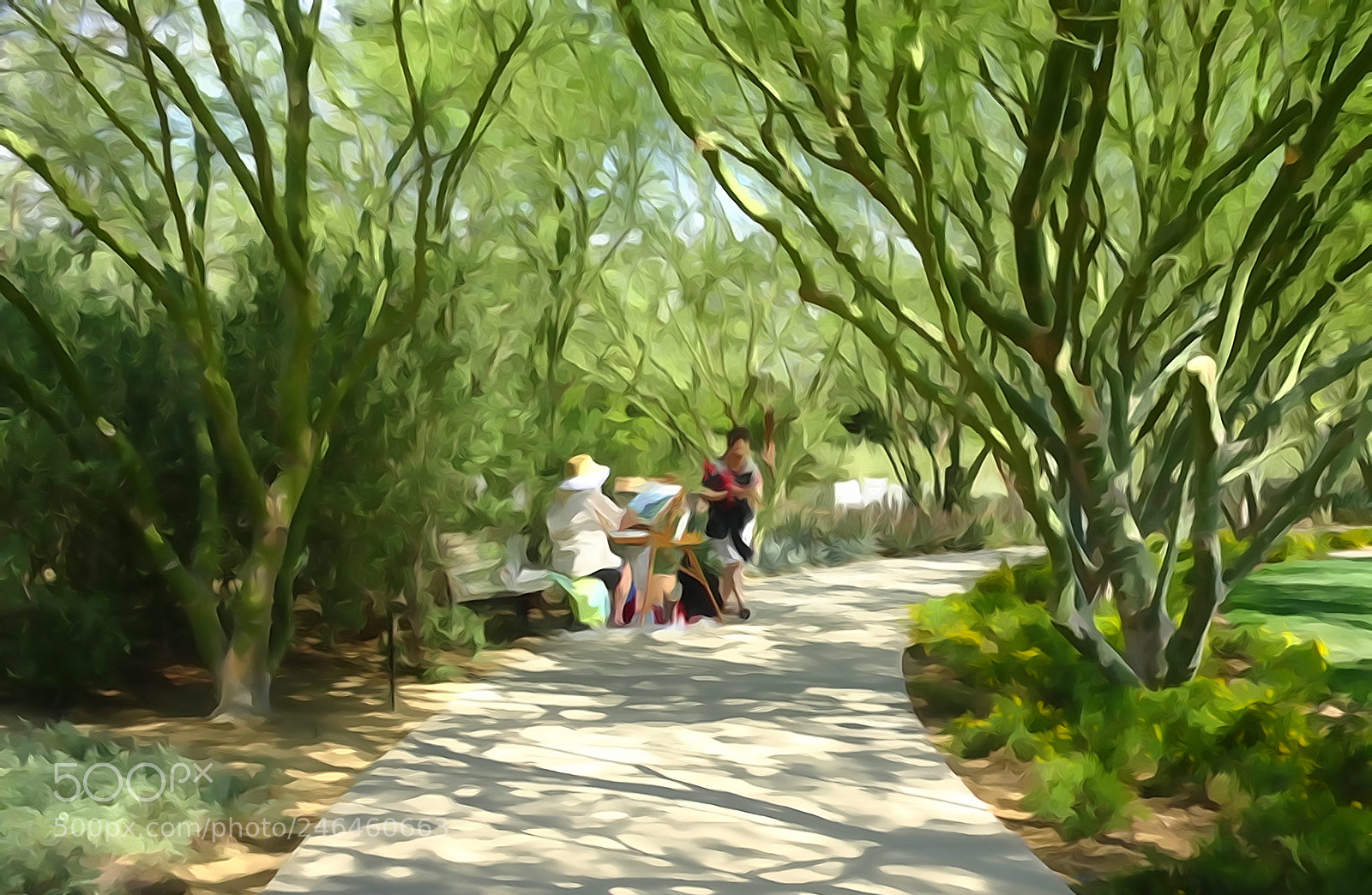 Sony Cyber-shot DSC-HX90V sample photo. Sunnylands garden photography