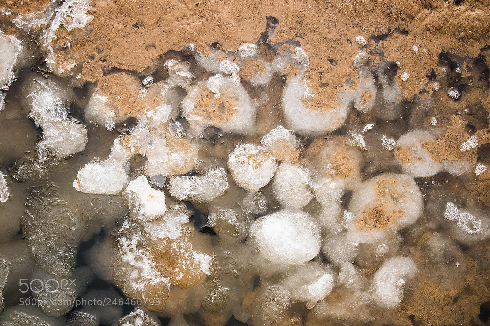 Canon EOS 7D Mark II sample photo. Silver beach photography