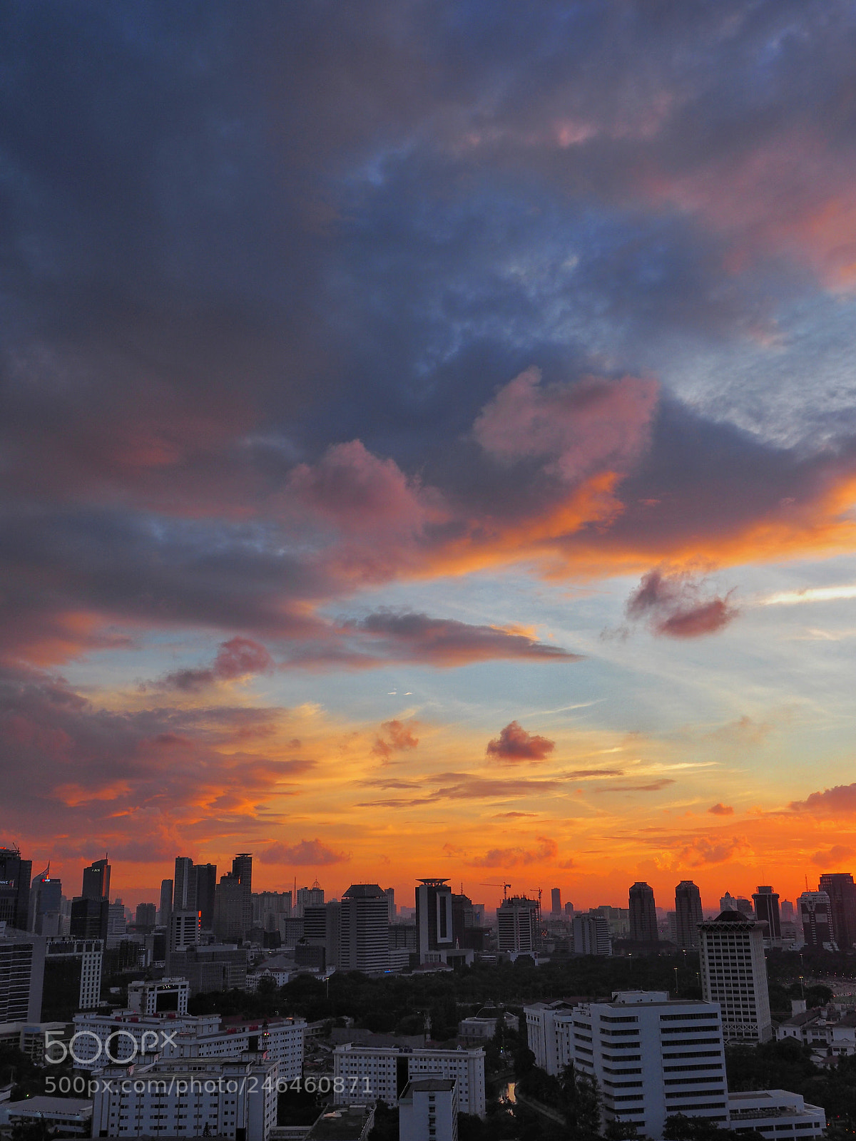 Olympus OM-D E-M10 II sample photo. Radiant photography