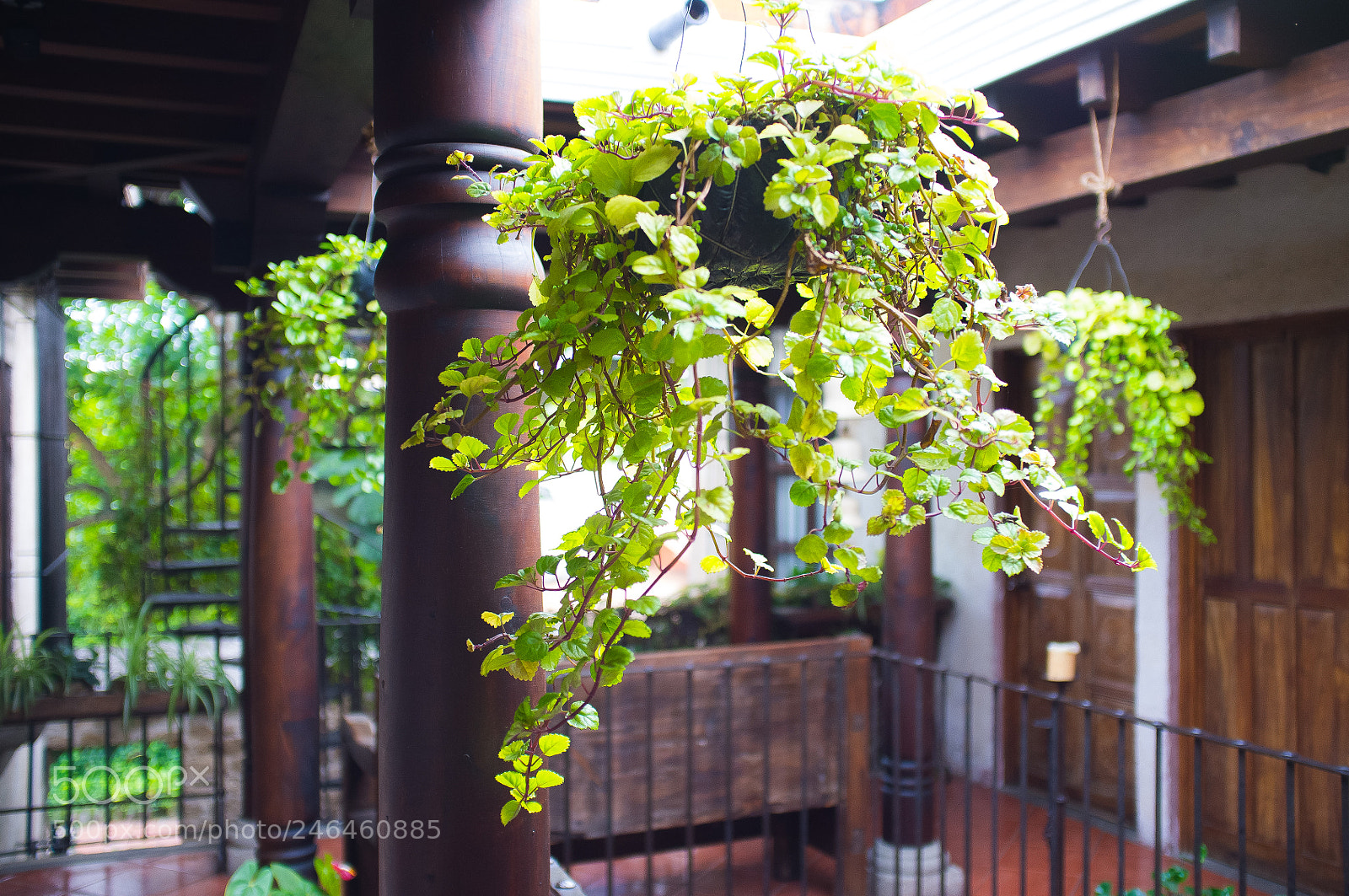 Fujifilm FinePix X100 sample photo. Untitled photography