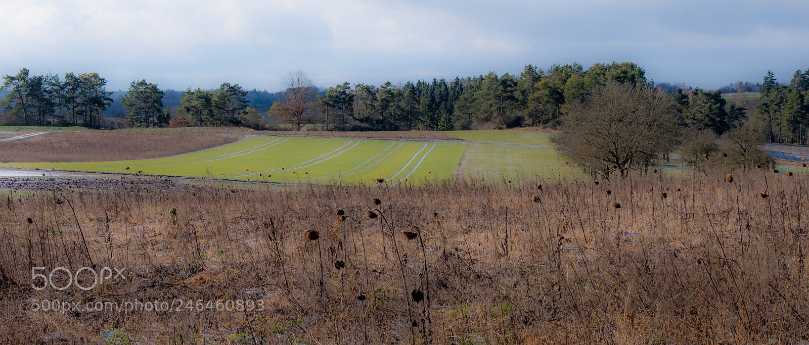 Panasonic DMC-G70 sample photo. Landscape in winter photography