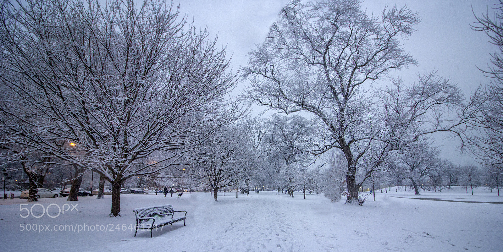 Canon EOS 60D sample photo. White weekend photography
