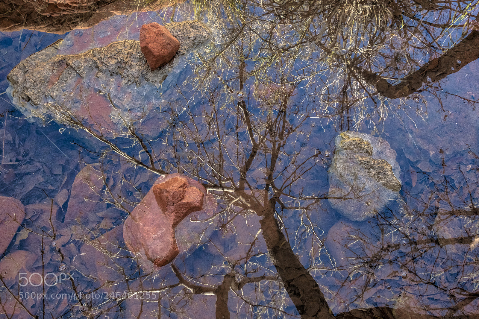 Fujifilm X-T2 sample photo. Desert reflection photography