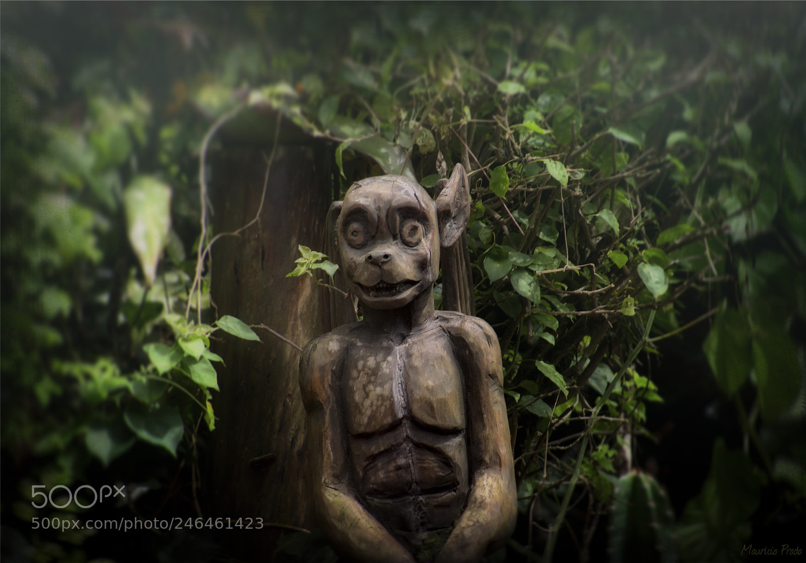 Canon EOS 50D sample photo. Gargoyle as an expression photography