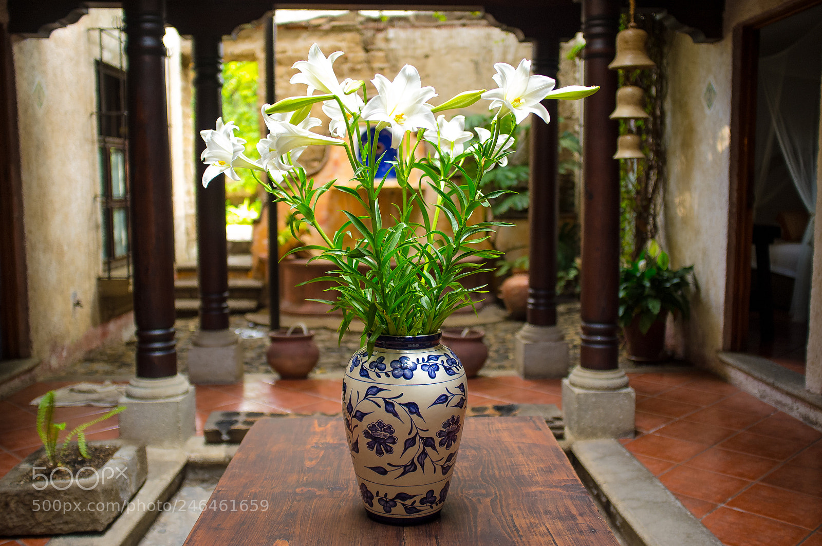 Fujifilm FinePix X100 sample photo. Untitled photography