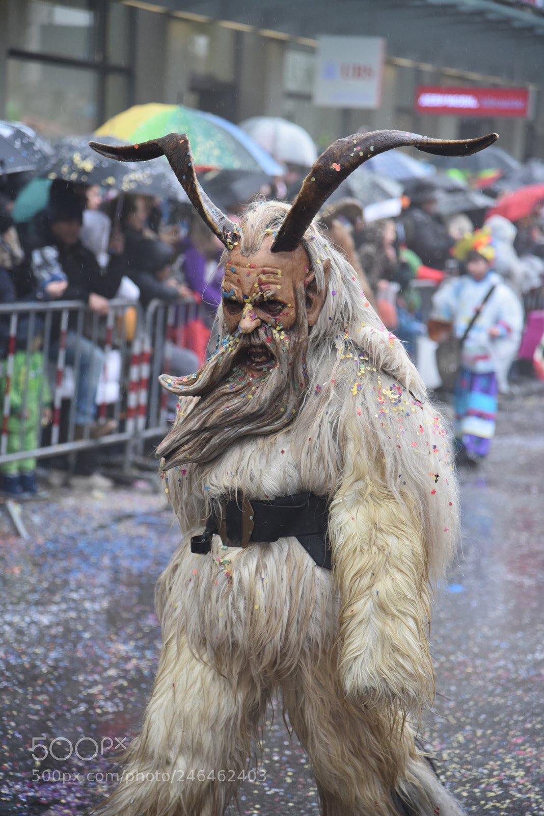 Nikon AF-S Nikkor 24-120mm F4G ED VR sample photo. Colorful carnival in bern photography