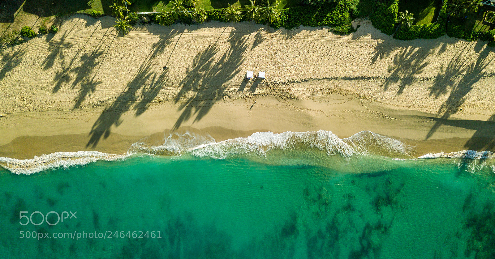 DJI FC220 sample photo. Coconuts and shadows photography