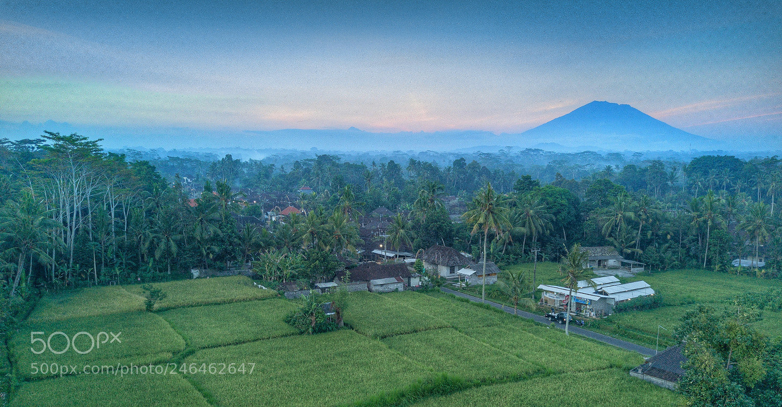 DJI FC220 sample photo. Ubud, bali photography