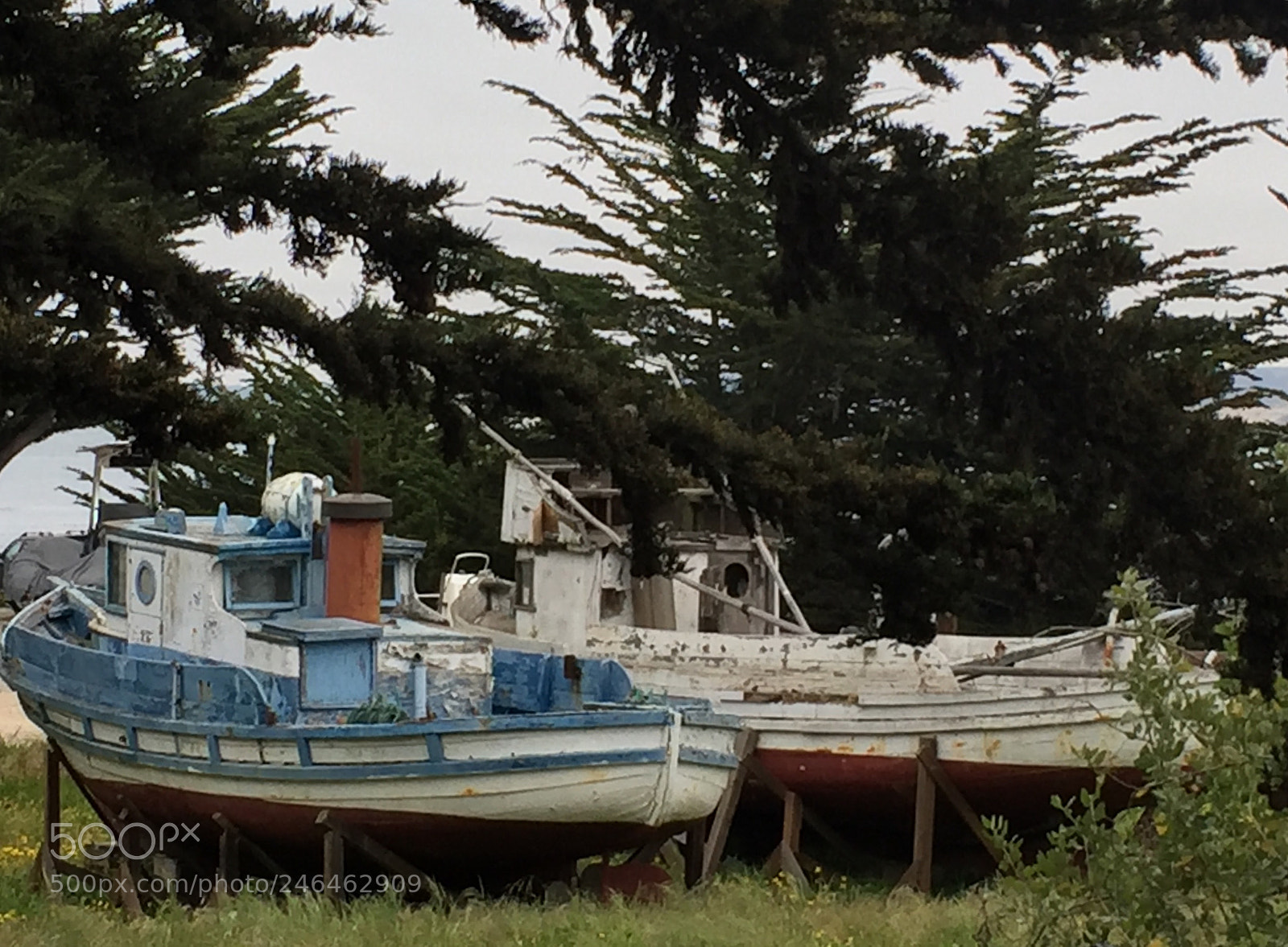 Apple iPhone 6 sample photo. Tugboats in monterey, california photography