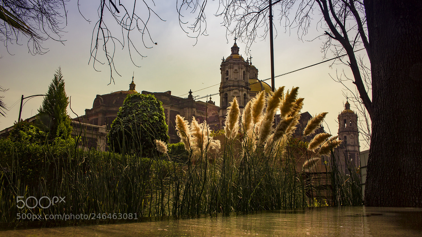Canon EOS 700D (EOS Rebel T5i / EOS Kiss X7i) sample photo. Iglesia de la virgen photography