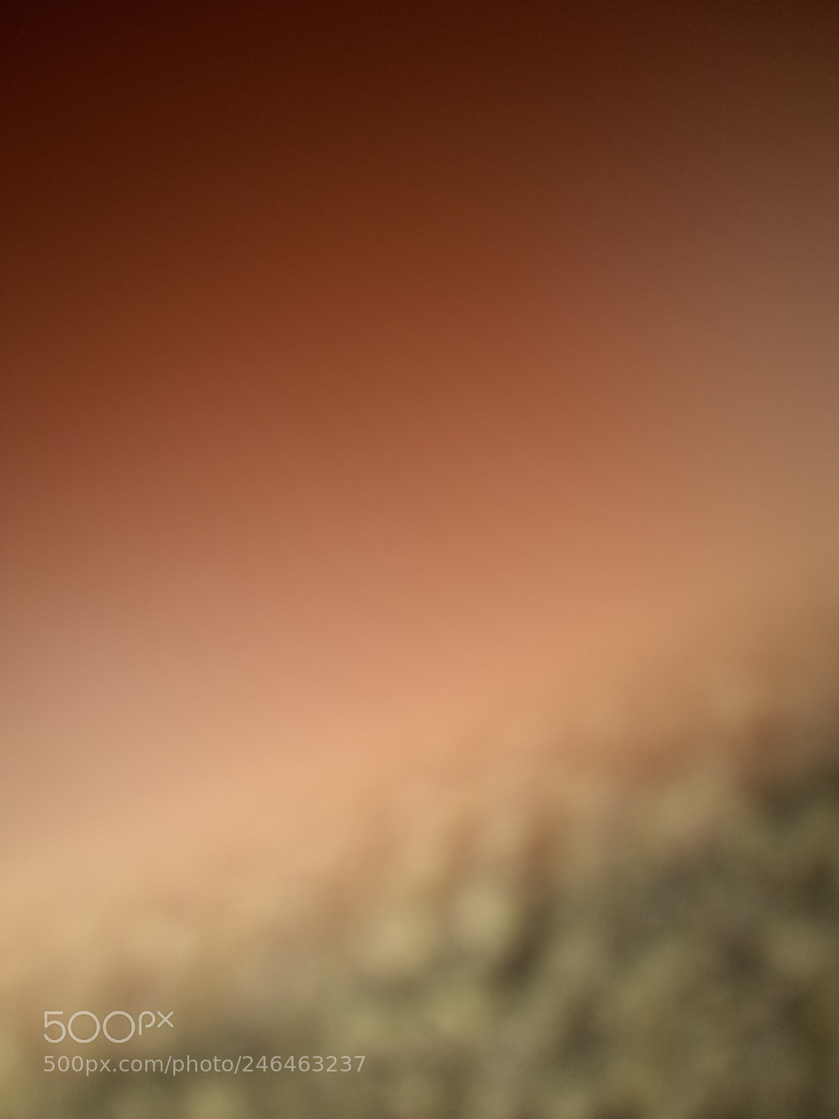 Motorola Moto E4 sample photo. Untitled photography