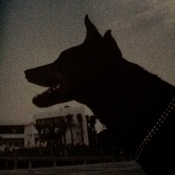 Apple iPad 2 sample photo. Black photography