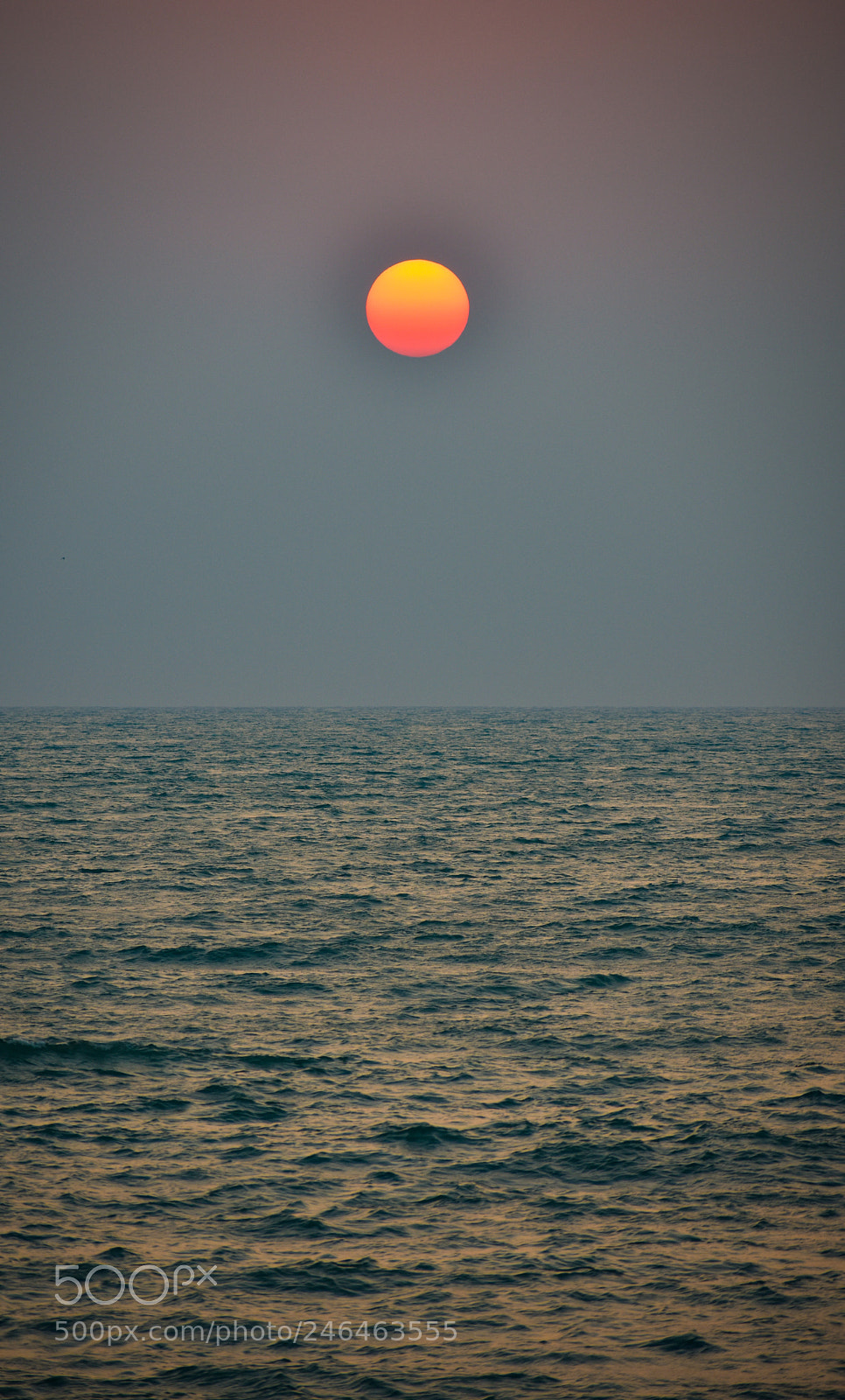 Nikon D3400 sample photo. Its a brand new photography