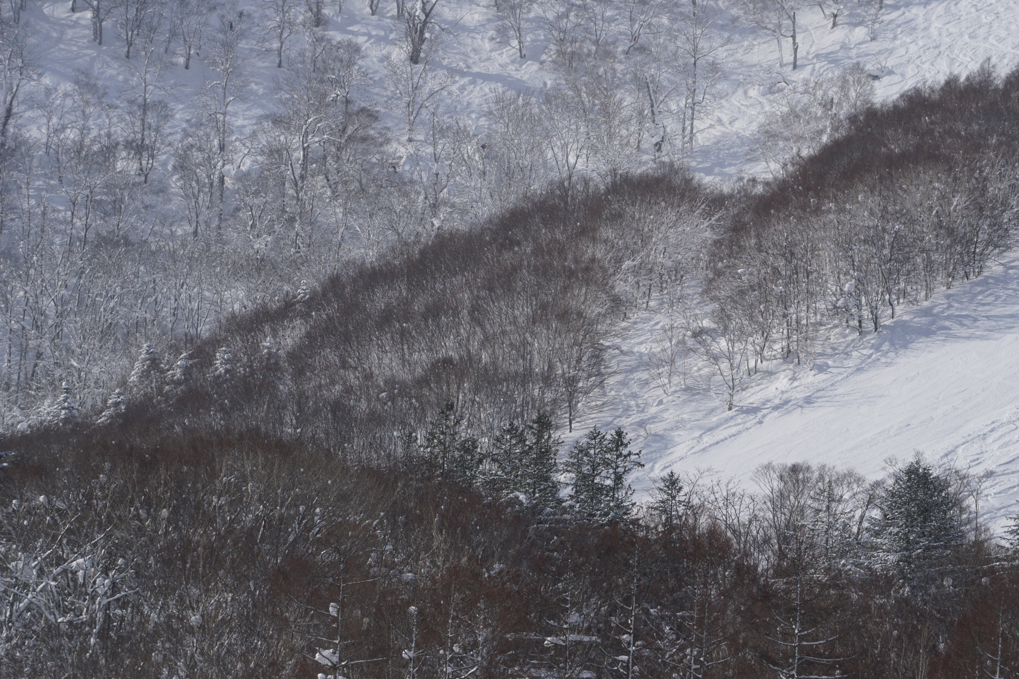 Sony FE 70-300mm F4.5-5.6 G OSS sample photo. Nature as painting photography