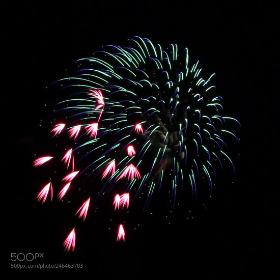 Canon EOS 50D sample photo. July 4th fireworks photography