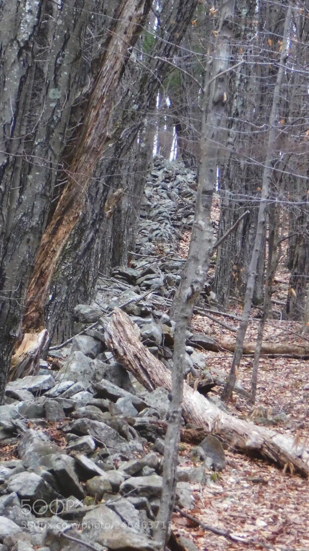 Nikon Coolpix B500 sample photo. Stone wall deep in photography