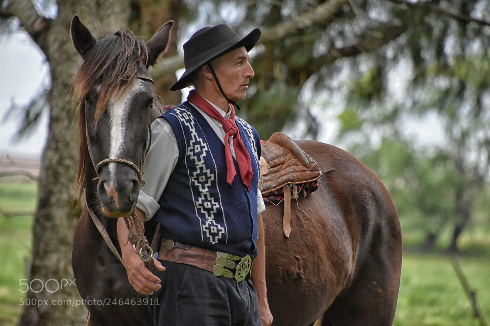 Nikon D7200 sample photo. El gaucho photography