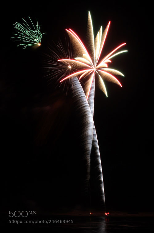 Canon EOS 50D sample photo. Palm trees photography