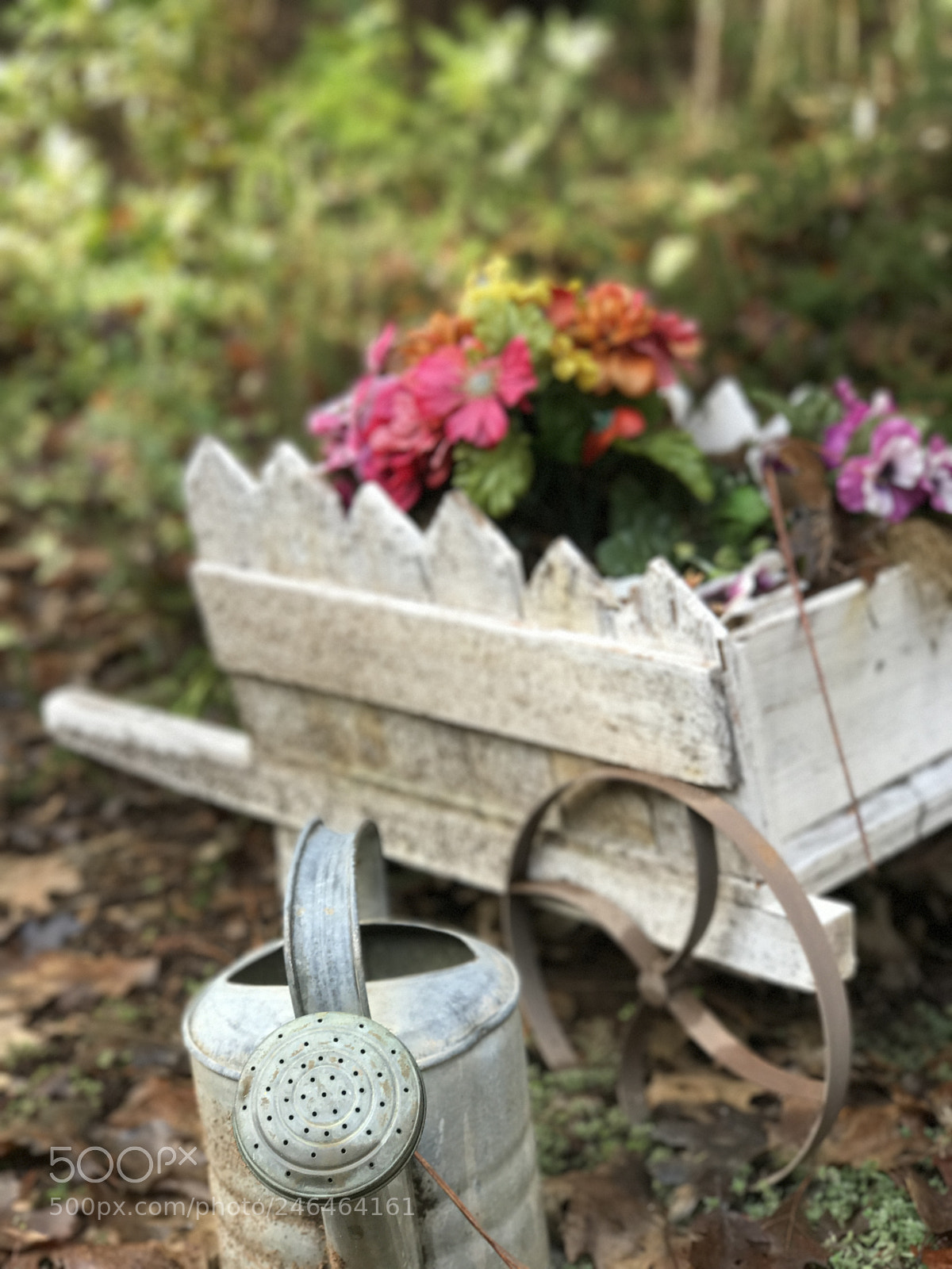 Apple iPhone 7 Plus sample photo. My mother’s garden photography