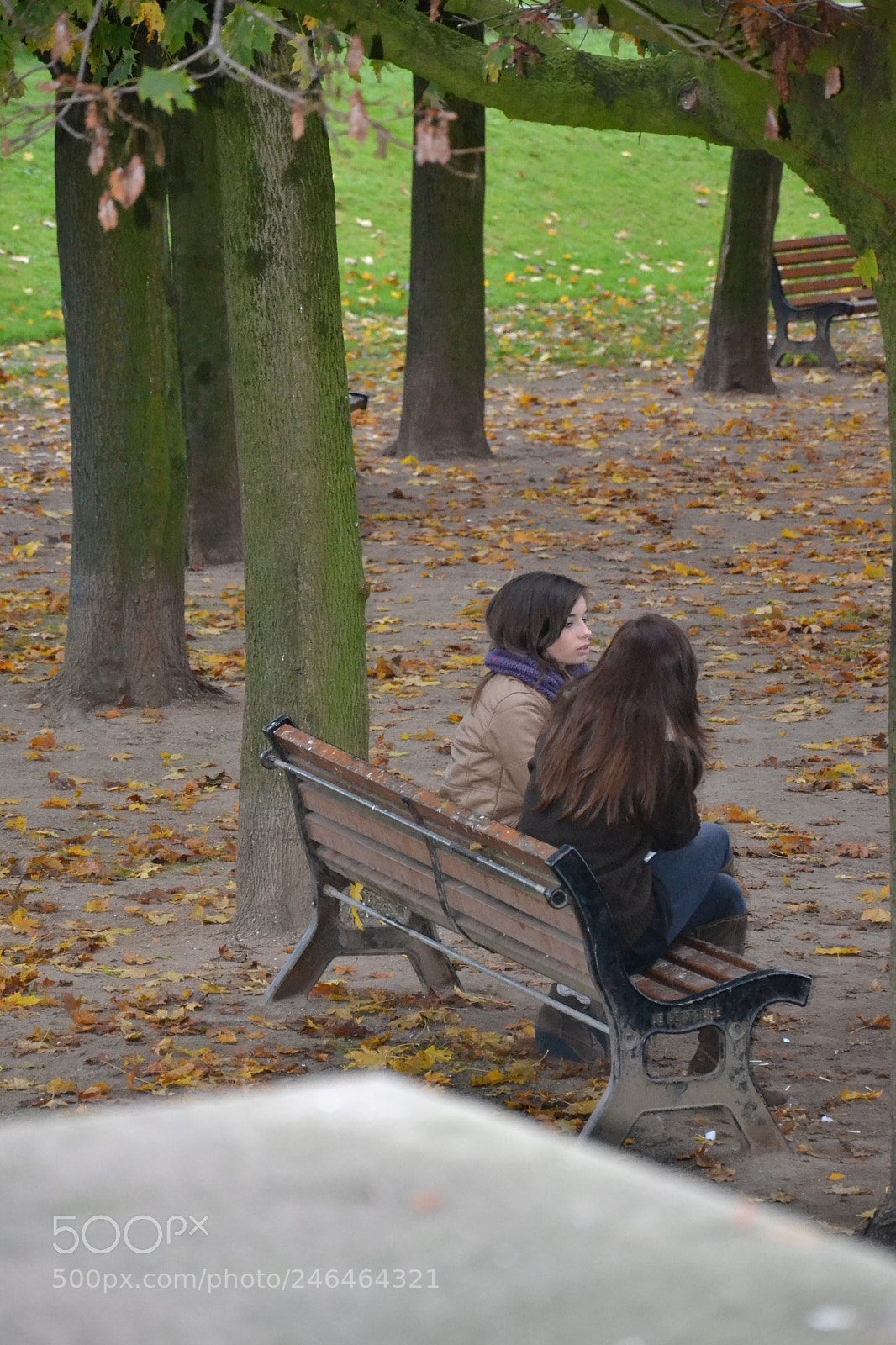 Nikon D3100 sample photo. Secrets d'automne photography
