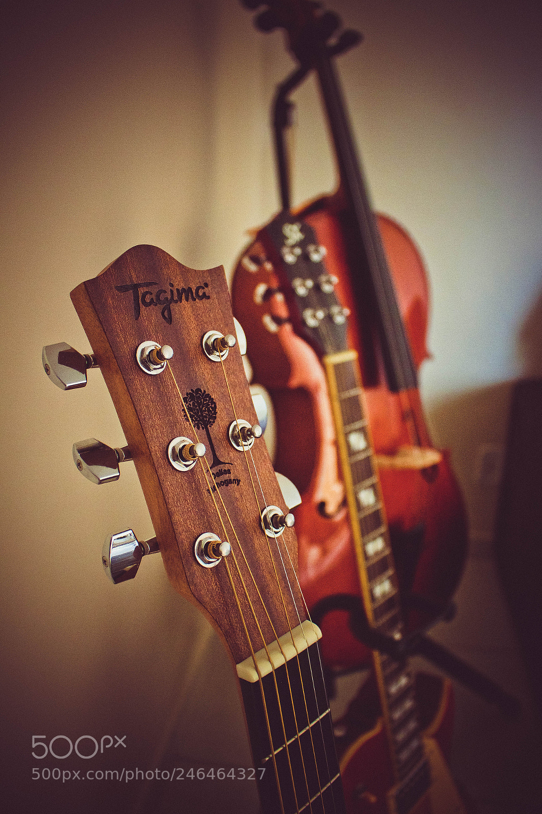 Canon EOS 700D (EOS Rebel T5i / EOS Kiss X7i) sample photo. Music photography