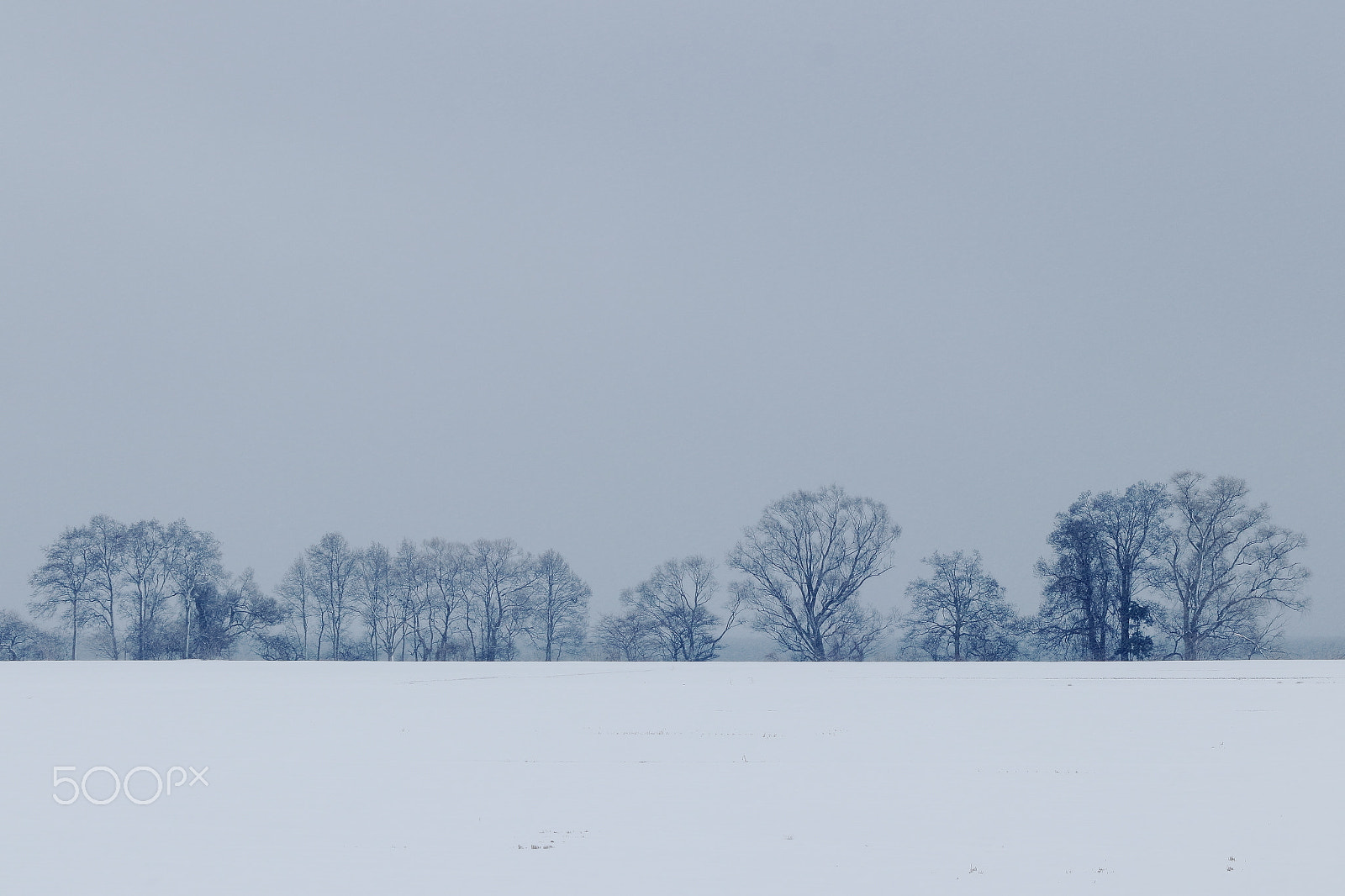 Canon EF 70-300 F4-5.6 IS II USM sample photo. Quiet place photography