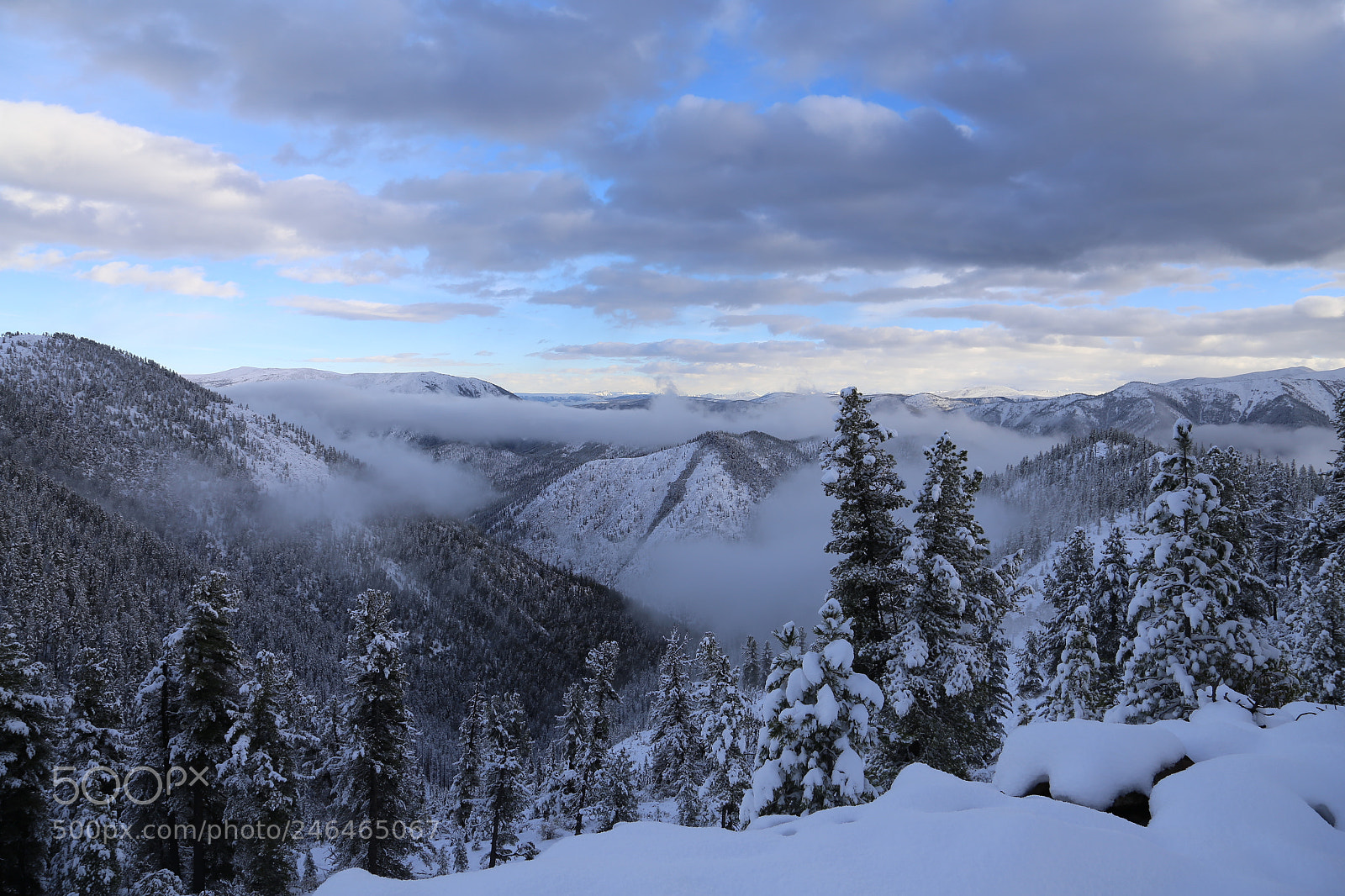 Canon EOS 6D + Canon EF 24-105mm F4L IS USM sample photo. Calm morning after snow photography