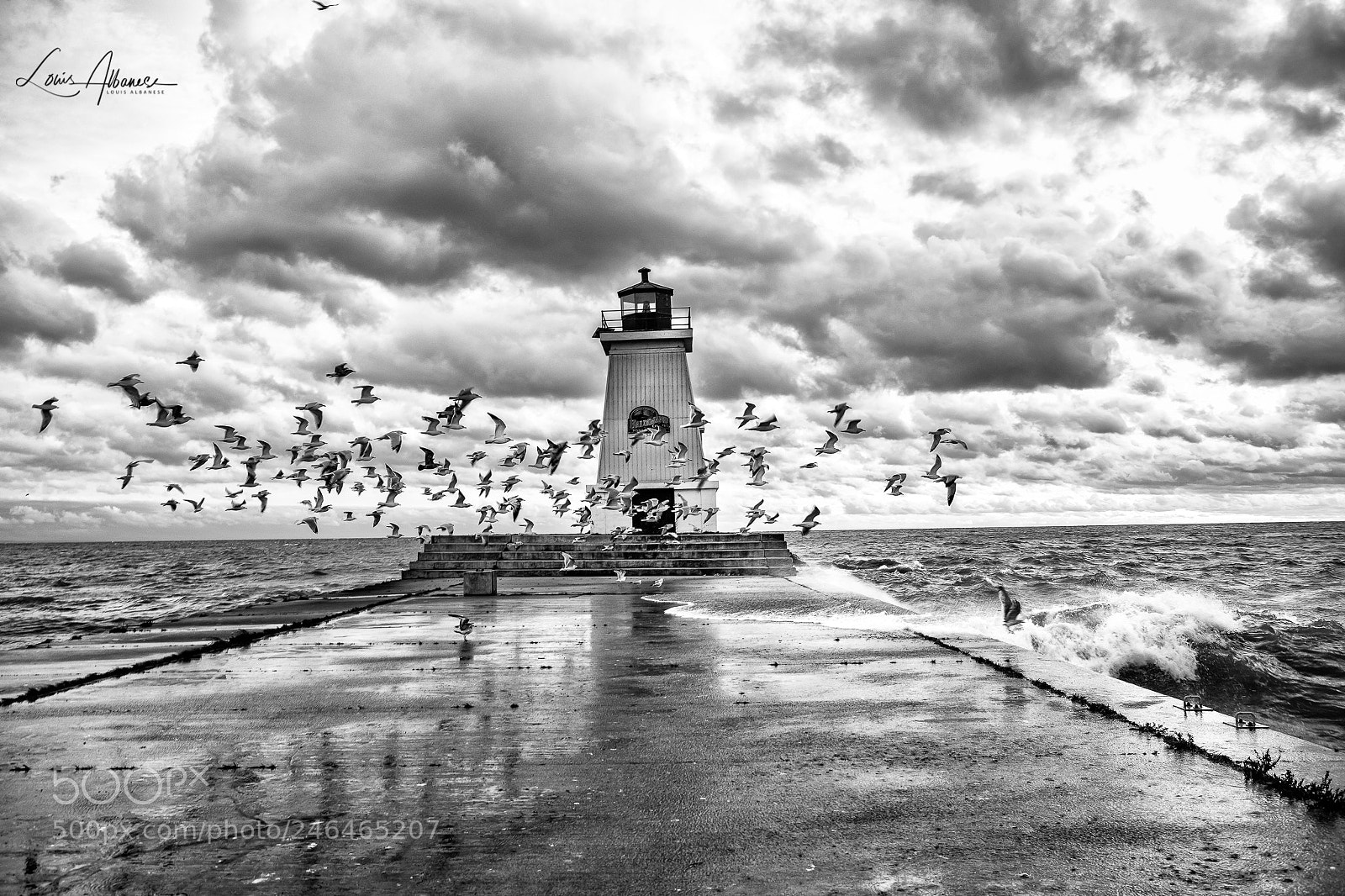 Nikon D5 sample photo. October gale photography