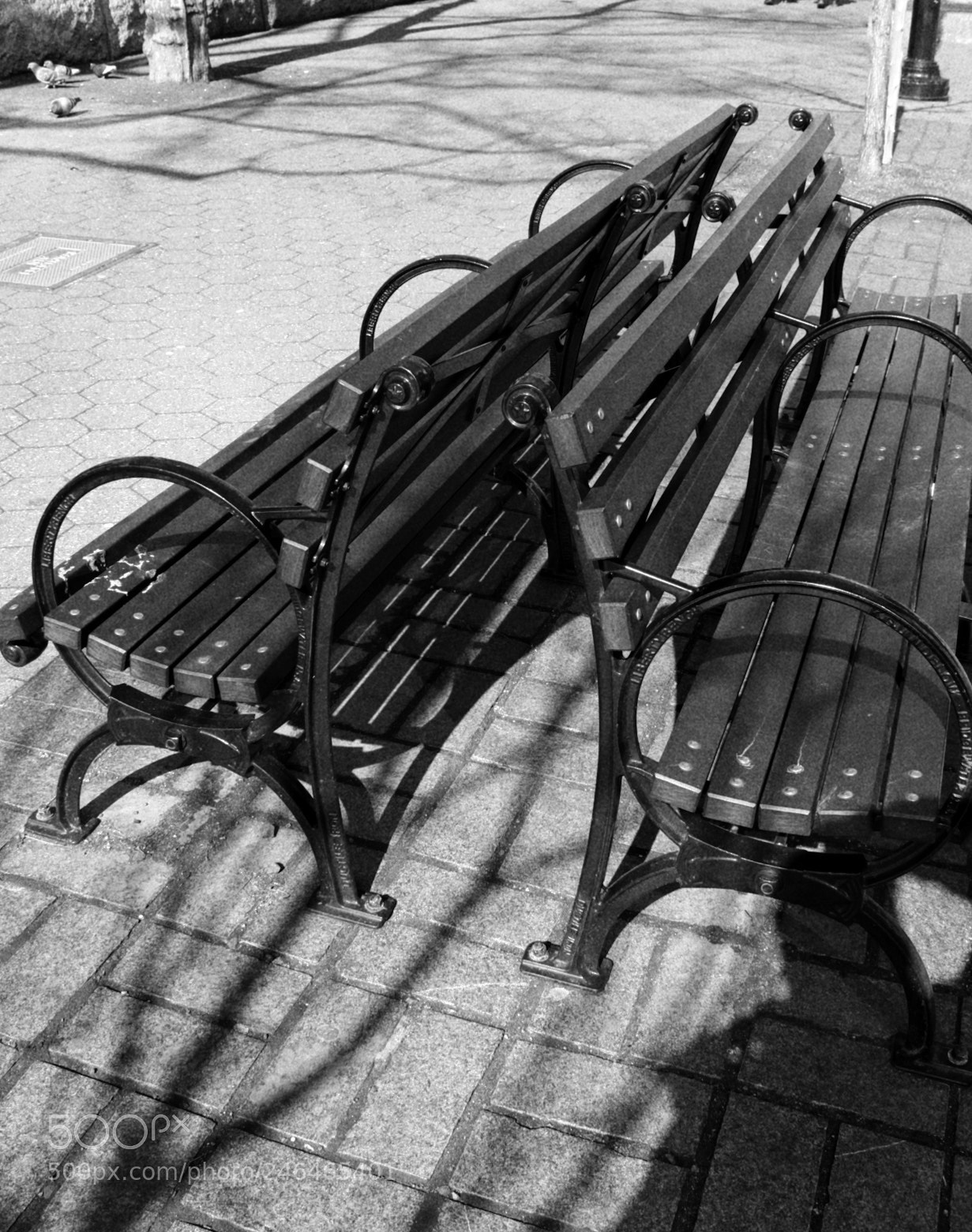 Canon EOS 1300D (EOS Rebel T6 / EOS Kiss X80) sample photo. Untitled photography