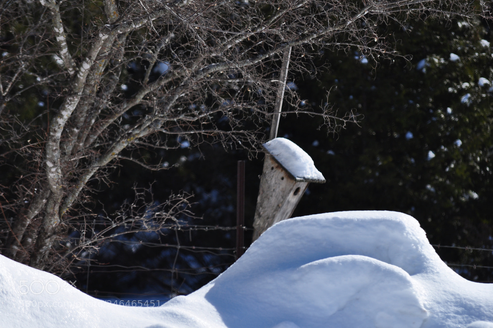 Nikon D5000 sample photo. Winter home photography